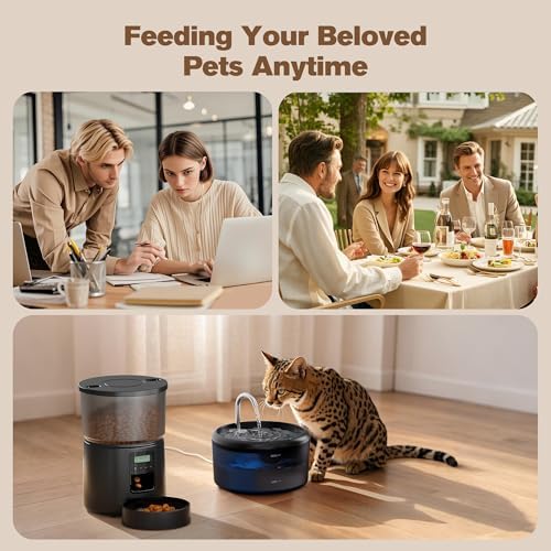 Fontaine à eau chat avec triple filtration et distributeur automatique de croquettes