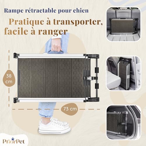 Rampe chien voiture antidérapante et pliable pour une sécurité optimale