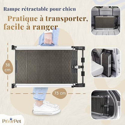 Rampe chien voiture antidérapante et pliable pour une sécurité optimale