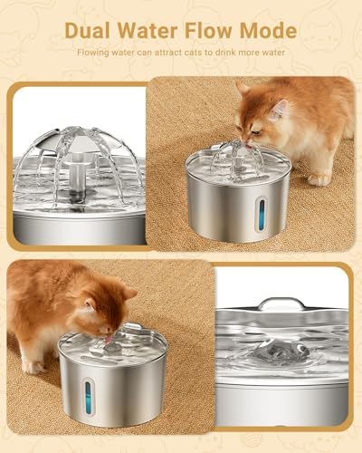 Fontaine à eau chat en acier inoxydable 304 avec design unique et système de filtration avancé