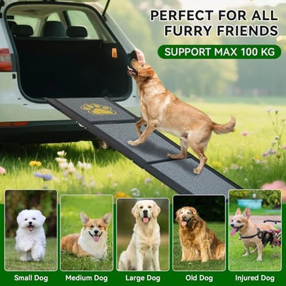 Rampe chien voiture robuste et stable pour un accès facile et sécurisé