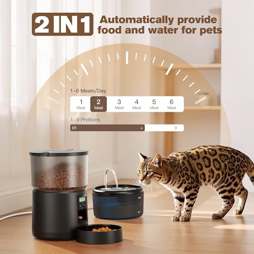 Fontaine à eau chat avec triple filtration et distributeur automatique de croquettes