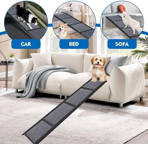 Rampe chien voiture : sécurité et confort pour votre animal de compagnie