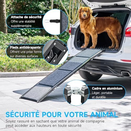 Rampe pour chien voiture 170 cm - Sécurité et confort pour votre animal