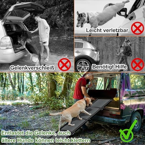 Rampe chien voiture pliable et sécurisée pour un accès facile