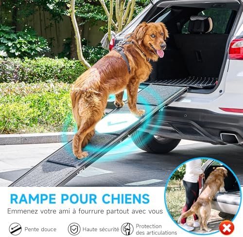 Rampe pour chien voiture 170 cm - Sécurité et confort pour votre animal